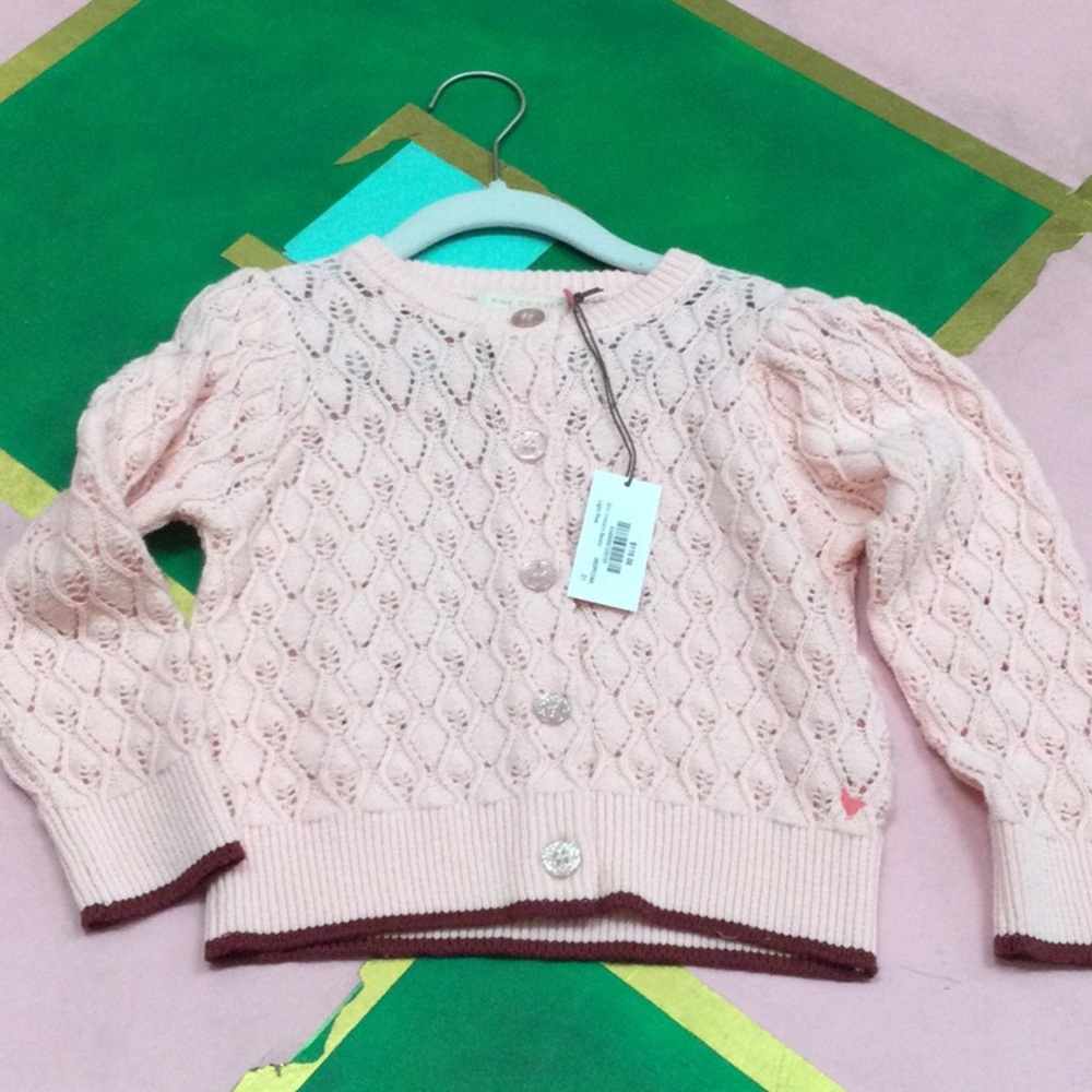 NWT Pink Chicken Constance Sweater in light pink